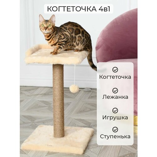 Когтеточка-столбик для кошек бриси, 35х35х62 см
