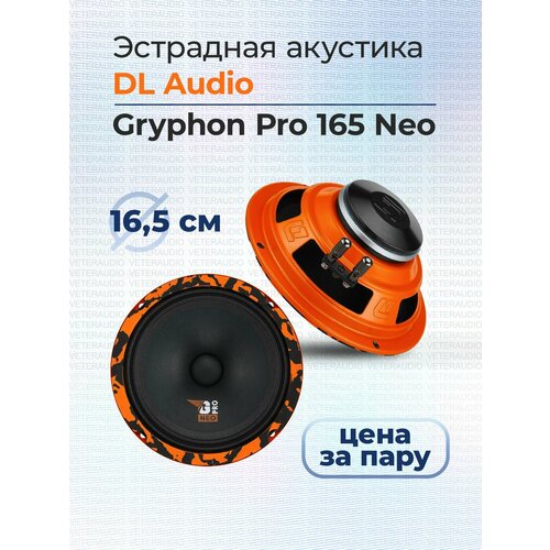 Эстрадная акустика DL Audio Gryphon Pro 165 Neo 629000₽