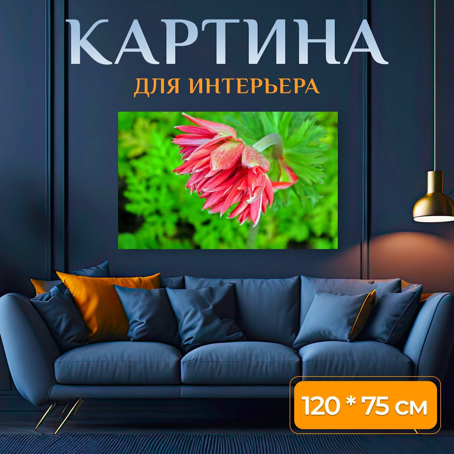 Картина на холсте "Анемон, цветок, осень" на подрамнике 120х75 см. для интерьера