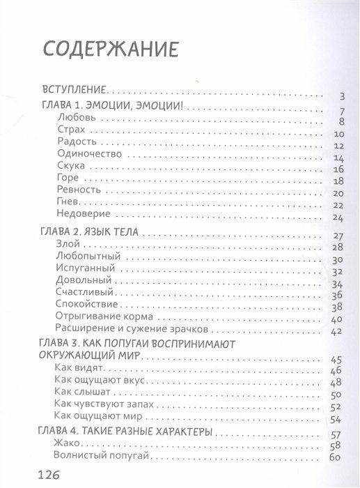 Давай поЧИРИКаем. Как понять язык попугая - фото №16