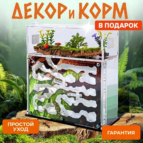 Муравьиная ферма "Листва" + декор И корм В подарок! Формикарий для муравьев