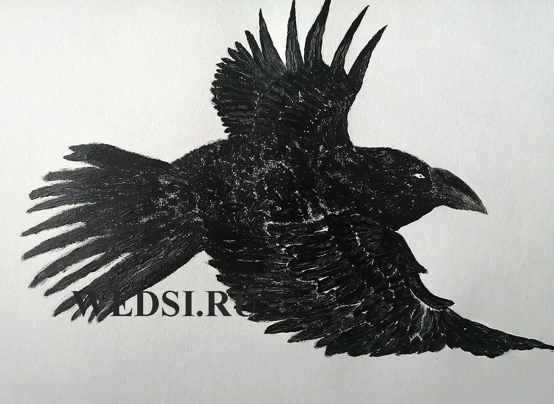 Картина "Ворона"