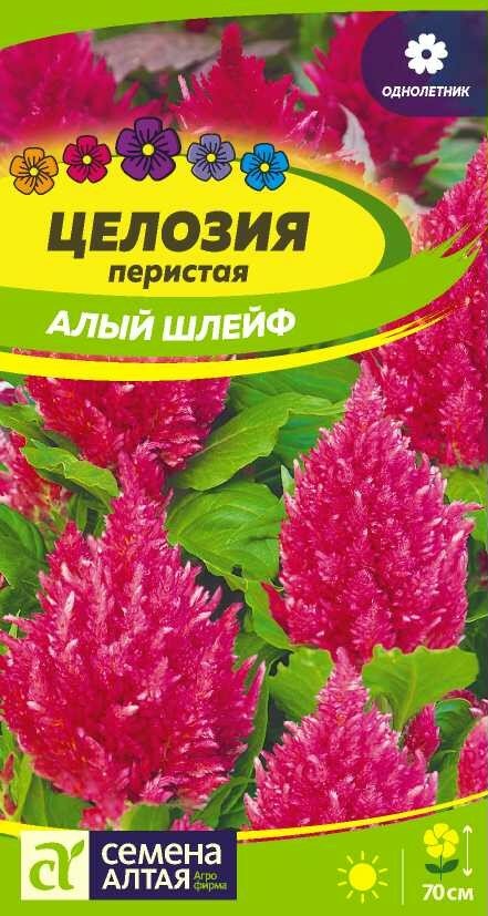 Семена целозии 