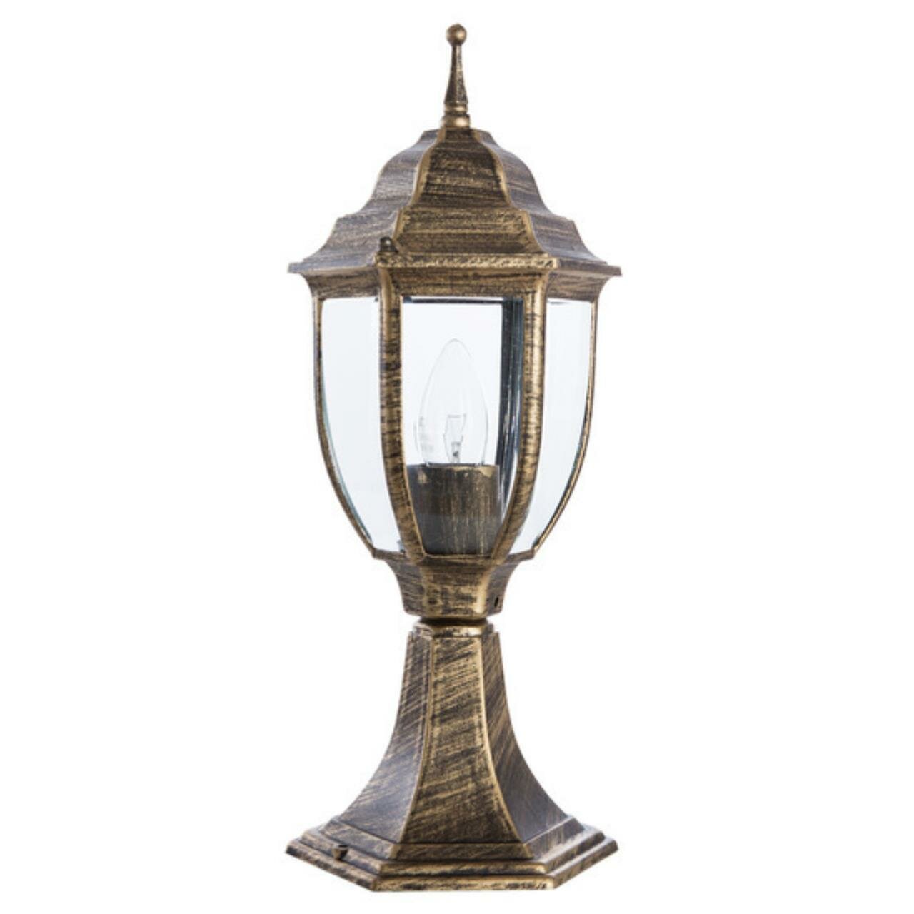 Ландшафтный светильник Arte Lamp PEGASUS A3151FN-1BN