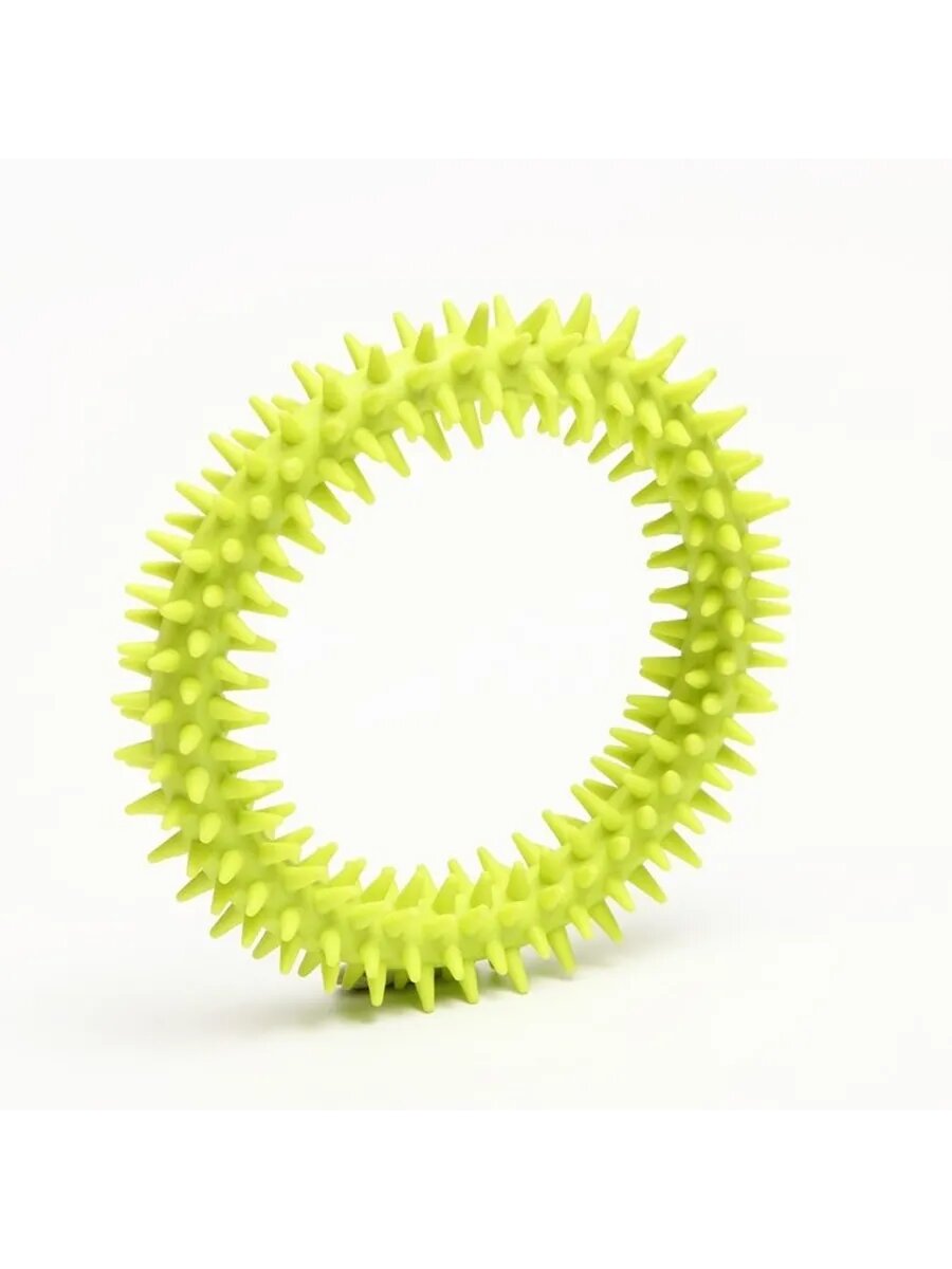 Игрушка для собак «Кольцо с шипами» — здоровье и развлечения