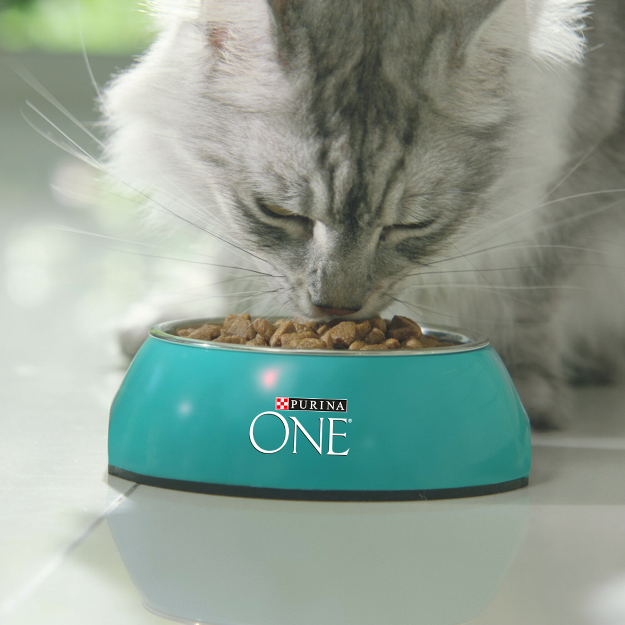 Сухой корм для кошек живущих в помещении Purina ONE для вывода шерсти, профилактика МКБ, избыточного веса, с высоким содержанием индейки и цельными злаками 3 кг