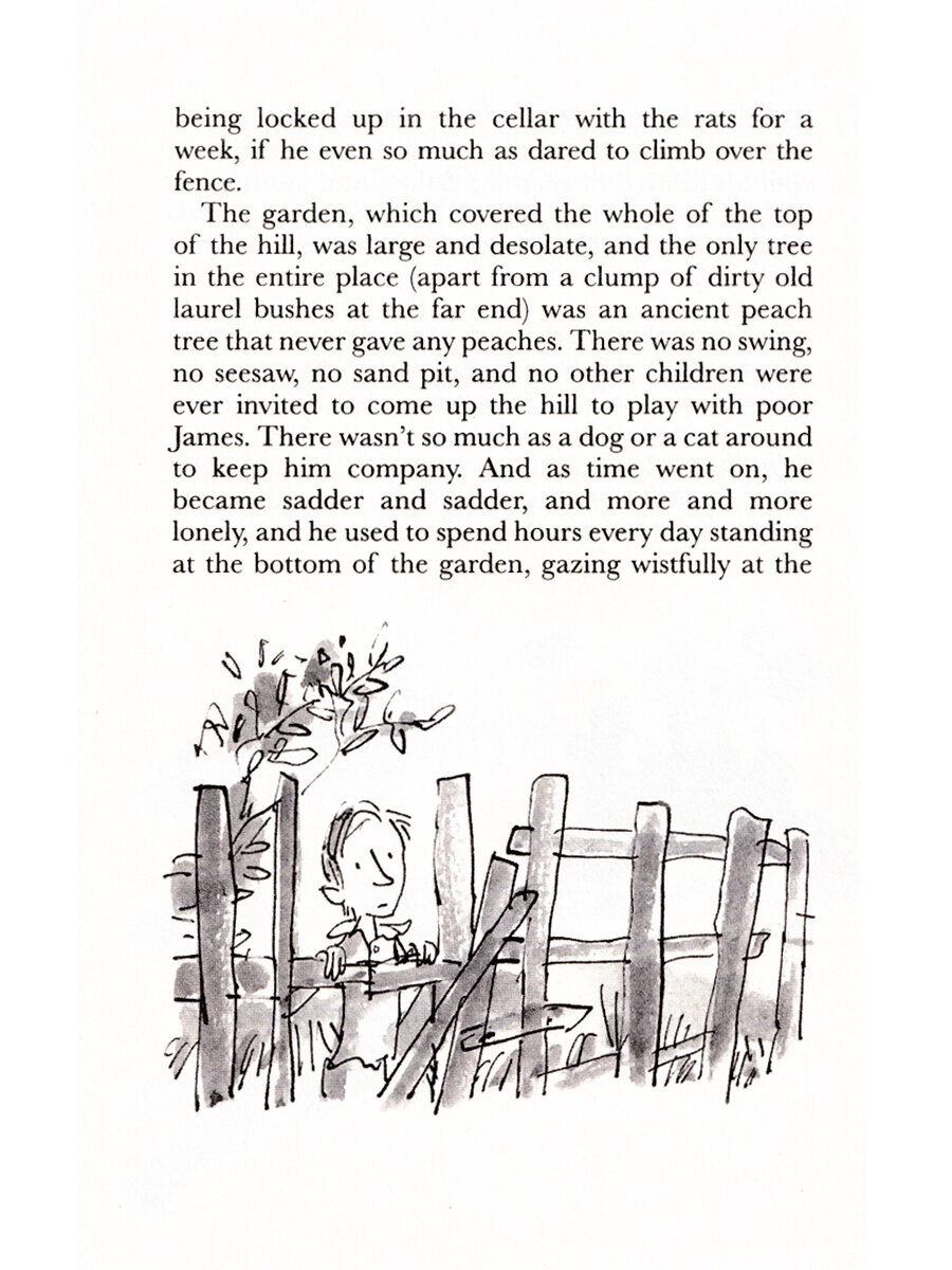 James and the Giant Peach (Roald Dahl) - фото №19
