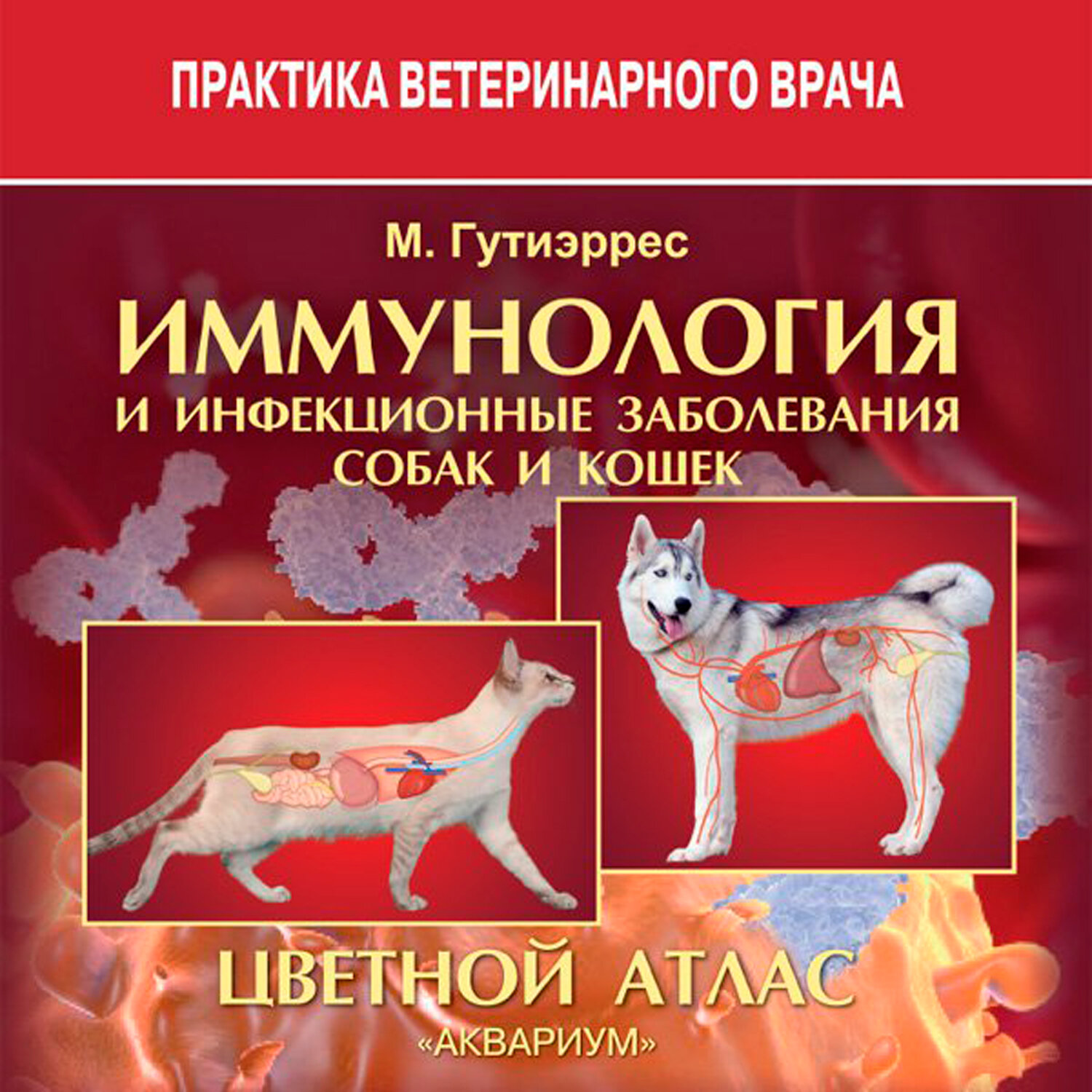 Иммунология и инфекционные заболевания собак и кошек. Цветной атлас - фото №2