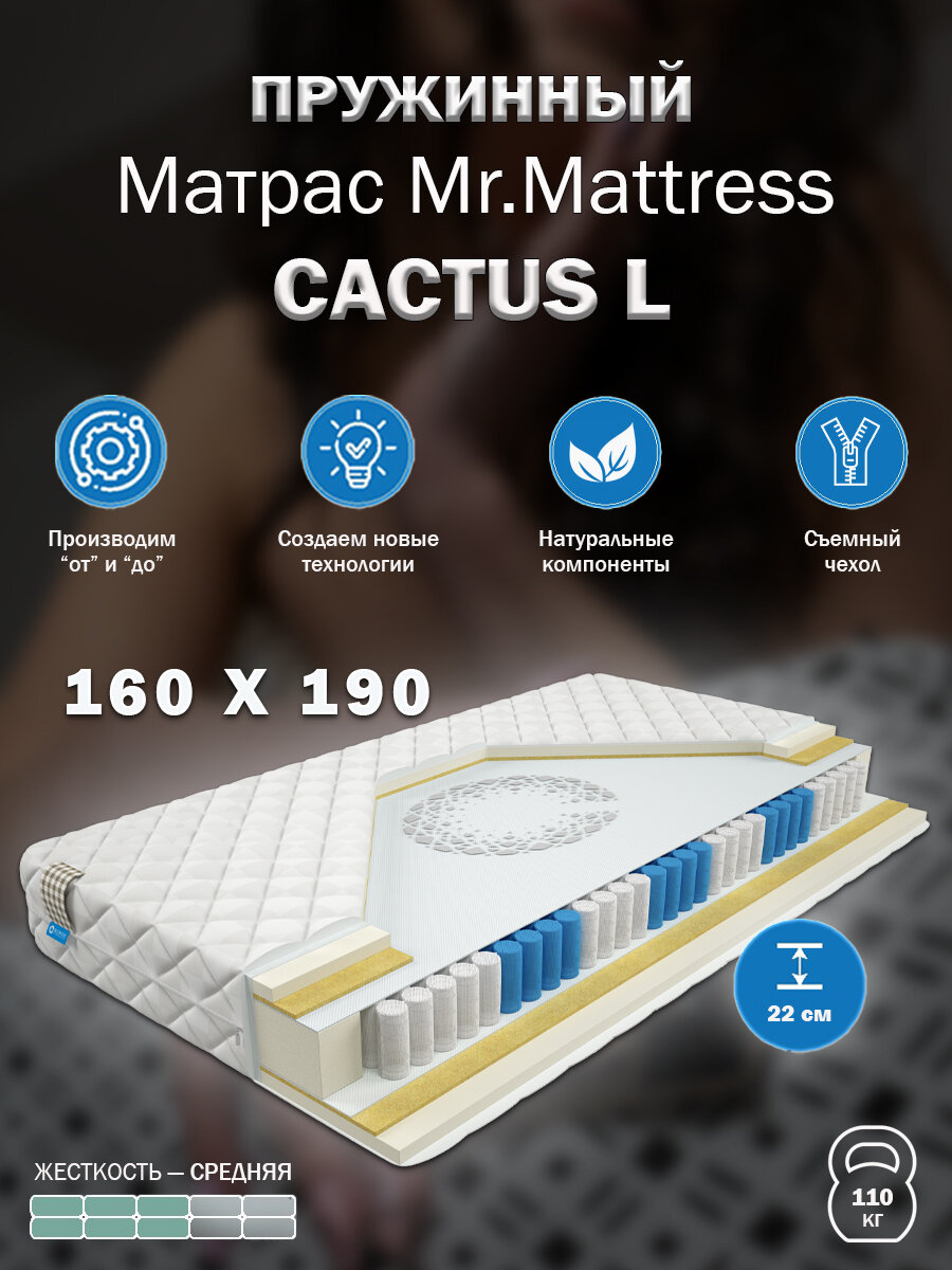 Матрас Mr. Mattress CACTUS L 160x190