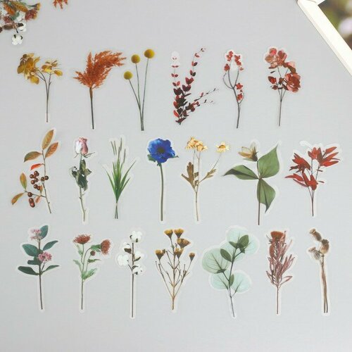 Наклейки для творчества пластик PVC По лесным тропам набор 40 шт 9х105 см 388₽