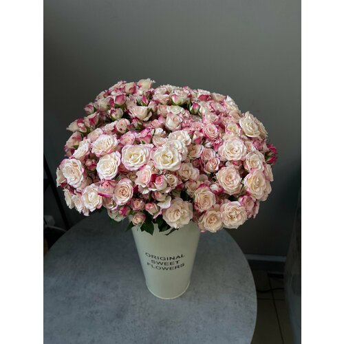 Нежно розовые голландские кустовые розы