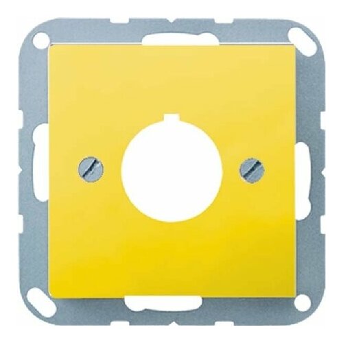 Тарелка A 564 GE Jung 4011377041851 6936₽