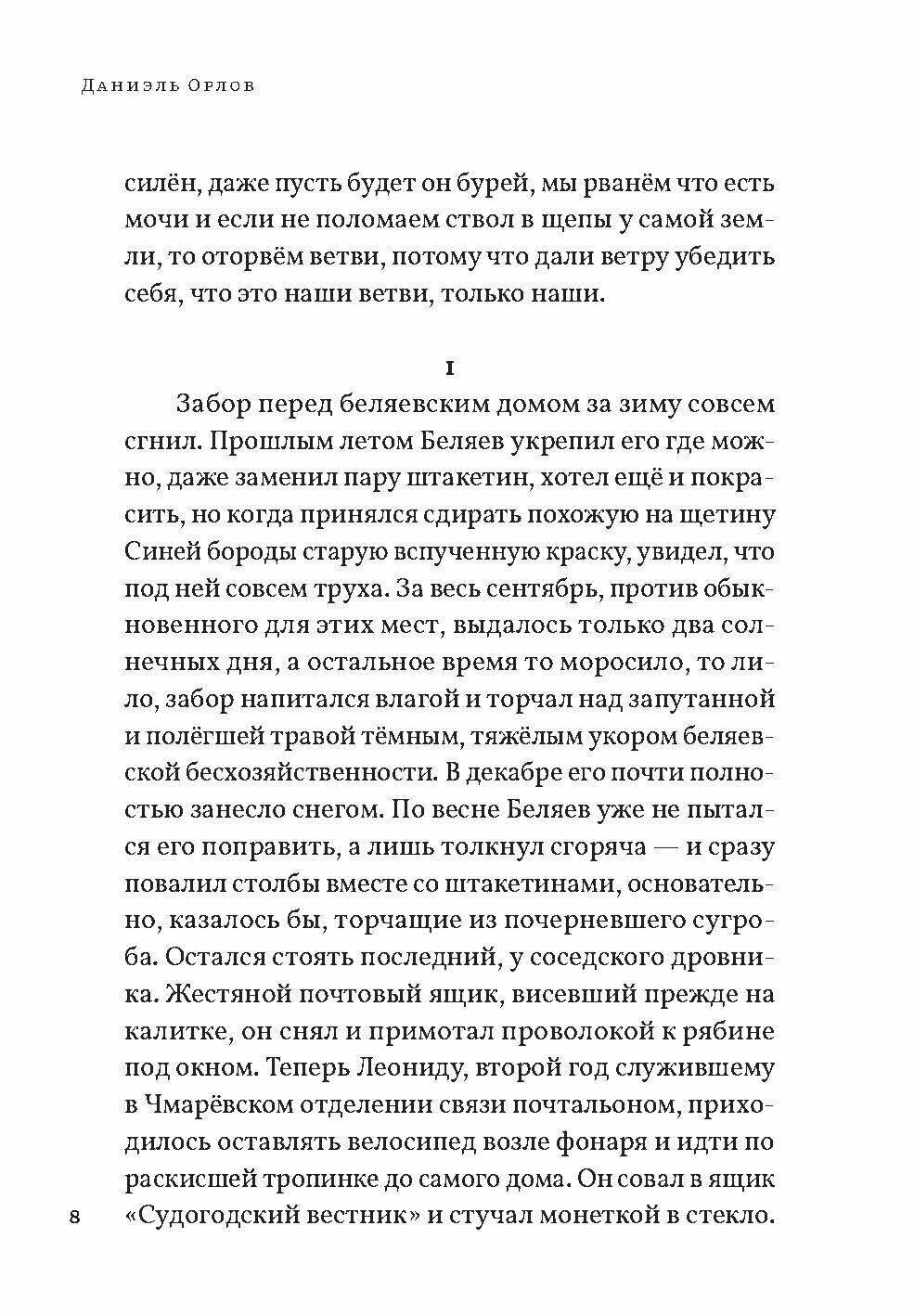 Время рискованного земледелия (Орлов Даниэль) - фото №9