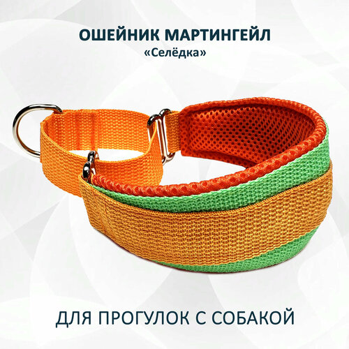 Ошейник для собак типа "Селёдка" мартингейл. Одуванчик. XL