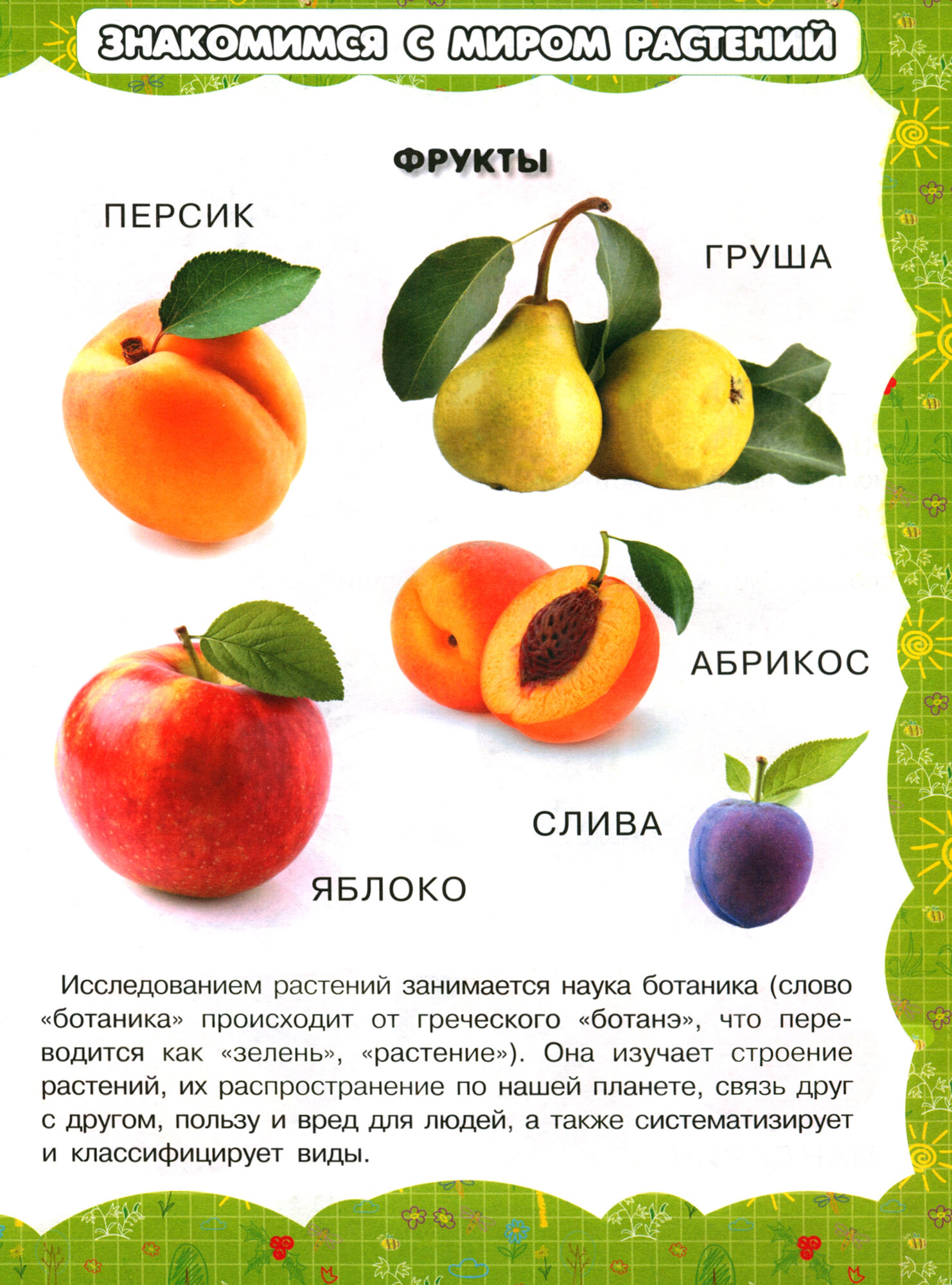 В саду и огороде (Резько Игорь Васильевич) - фото №2