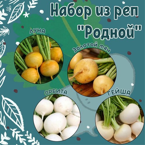 Набор из 4 реп Родной: Луна, Золотой мяч, Орбита, Гейша + подарок семена репа репа орбита 1гр