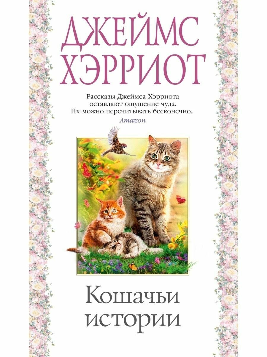 Кошачьи истории