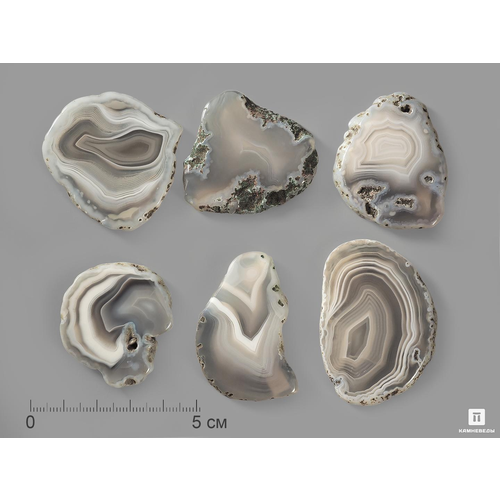 Камневеды Агат, полированный срез 3-6 см (10-15 г)