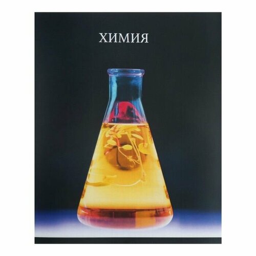 Тетрадь предметная Calligrata TOP Школьный стиль 48 листов в клетку Химия со справочным материалом пластиковая обложка блок офсет 461₽