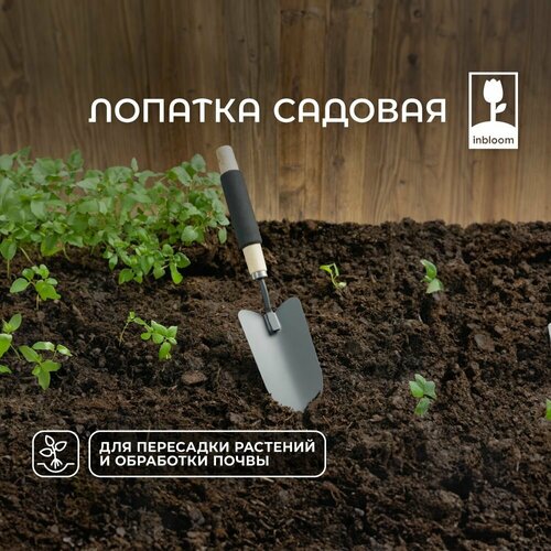 Лопатка садовая 38 см дерево поролон металл 203₽