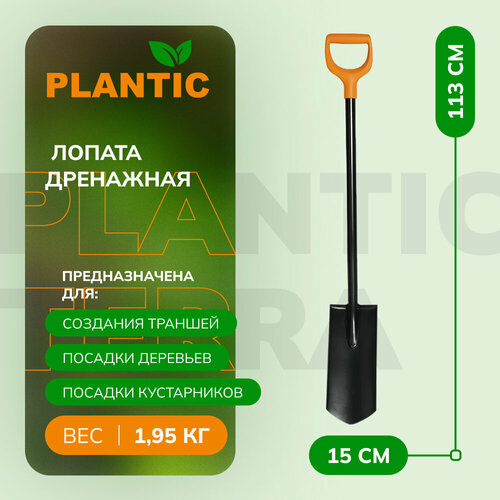 оранжевый, черный