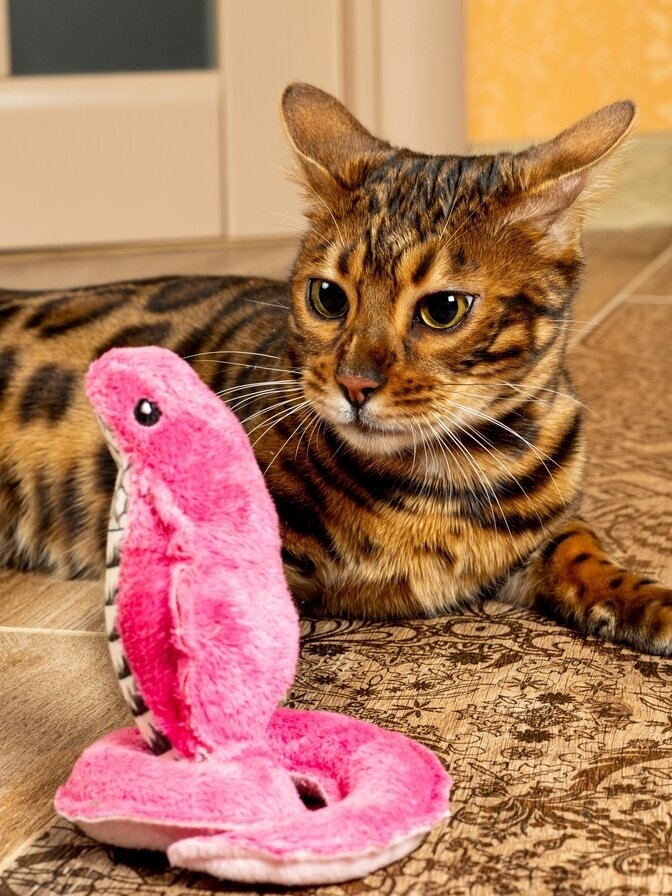 Игрушка для кошек Japan Premium Pet "Кобра" с кармашком для лакомства, с мататаби.