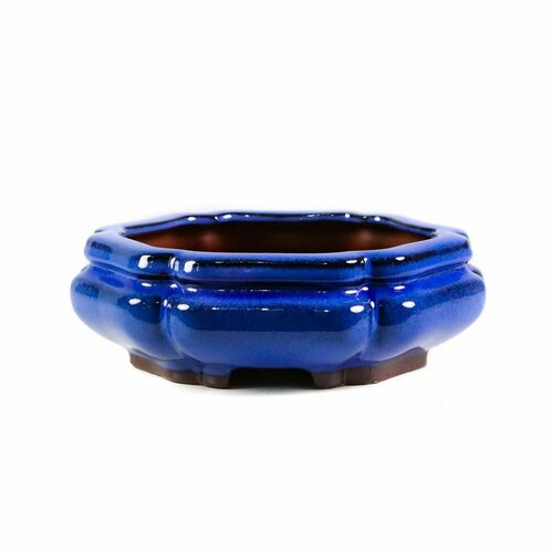 Горшок для бонсай Сяо Цзя 20x20xH7 синий 2160₽