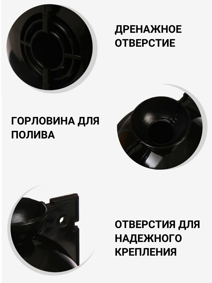 Изображение Шары для укоренения растений, PRO100вещи, пластик, черный, 12 см, 3шт