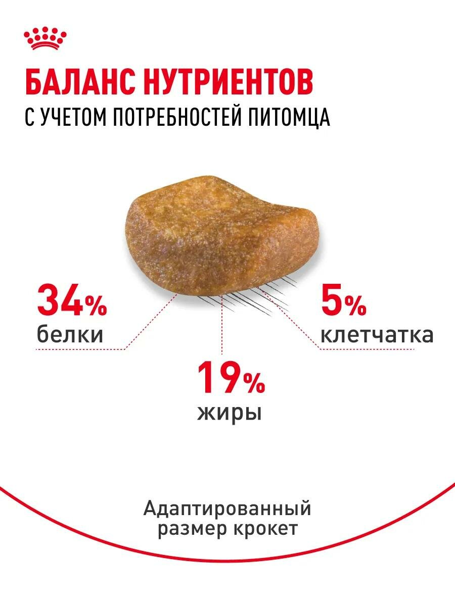 Сухой корм ROYAL CANIN для кошек британская короткошерстная 2 кг — фото 1