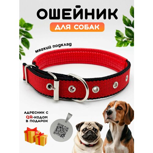 Ошейник для собак мелких, средних и крупных пород нейлоновый