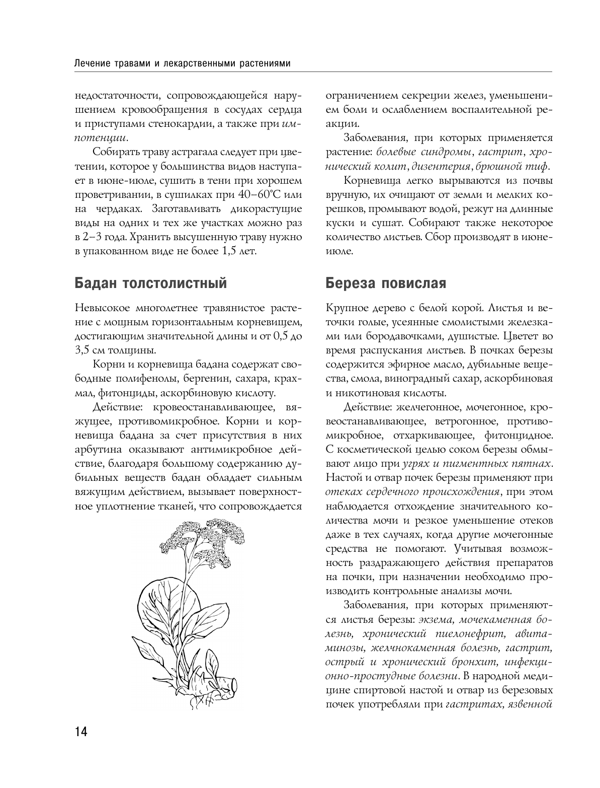 Энциклопедия народной медицины и натуропатии (новое издание) - фото №16