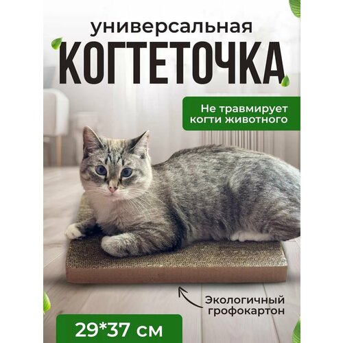 Картонная когтеточка для кошки, двухсторонняя когтеточка для кота