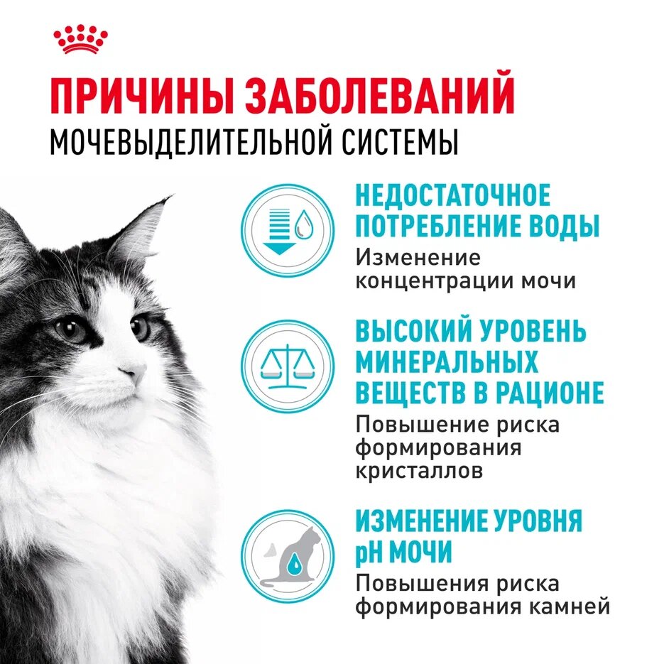Royal Canin Urinary Care для профилактики МКБ у кошек Курица, 4 кг. — фото 1