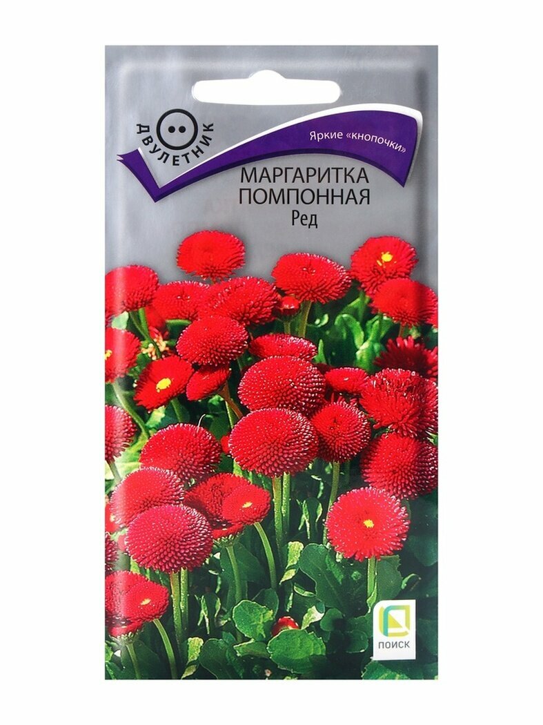 Семена цветов Маргаритка помпонная Ред 005гр