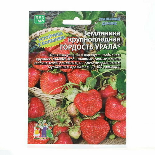 Семена Земляника Гордость Урала, 10 шт земляника гордость сибири крупноплодная семена