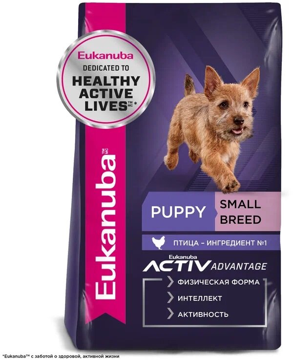 Eukanuba Сухой корм для щенков puppy small breed курица 1 уп. х 1 шт. х 3 кг