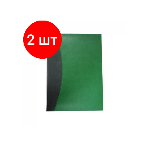 Комплект 2 штук, Папка адресная со сшивкой, квинель/рептилия, зеленая, А4