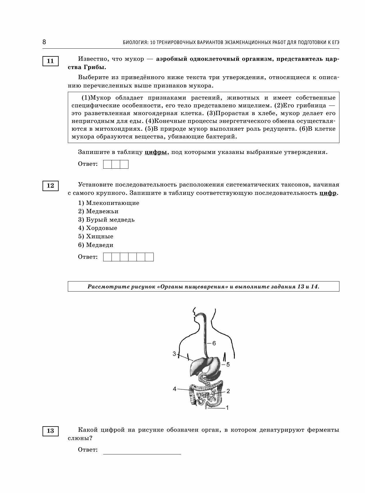 ЕГЭ-2024. Биология (60x84/8). 10 тренировочных вариантов экзаменационных работ для подготовки к единому государственному экзамену - фото №14