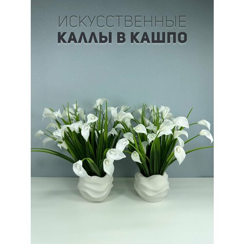 Искусственные декоративные растения / трава в кашпо / каллы волна 2