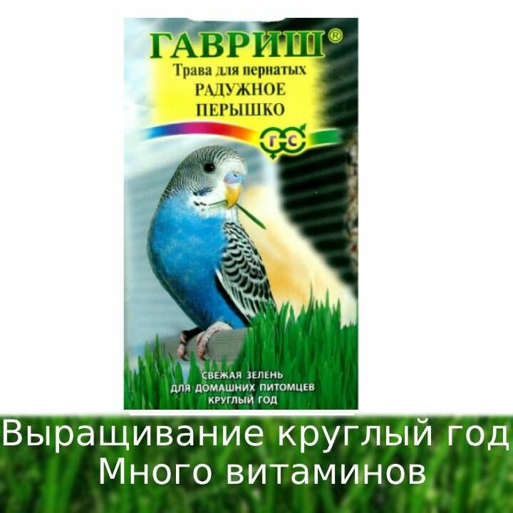 Трава для пернатых (Гавриш) Радужное перышко