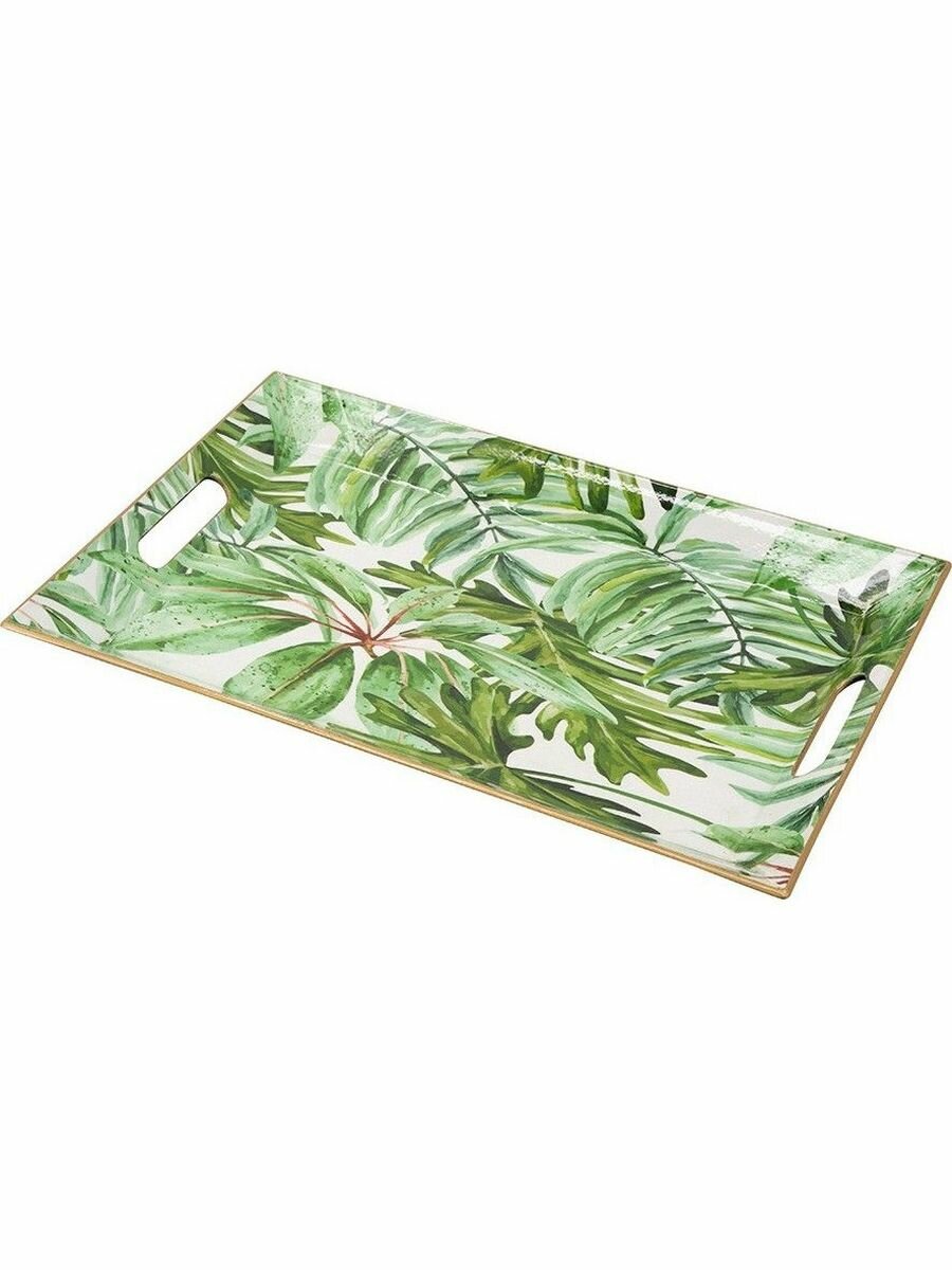 фото Поднос Casaentera CE04-48622 зеленый 460х300х40