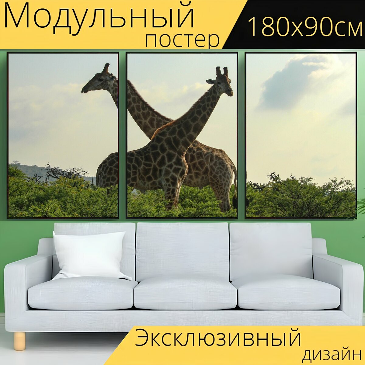 Модульный постер "Жирафы, жирафа, сафари" 180 x 90 см. для интерьера