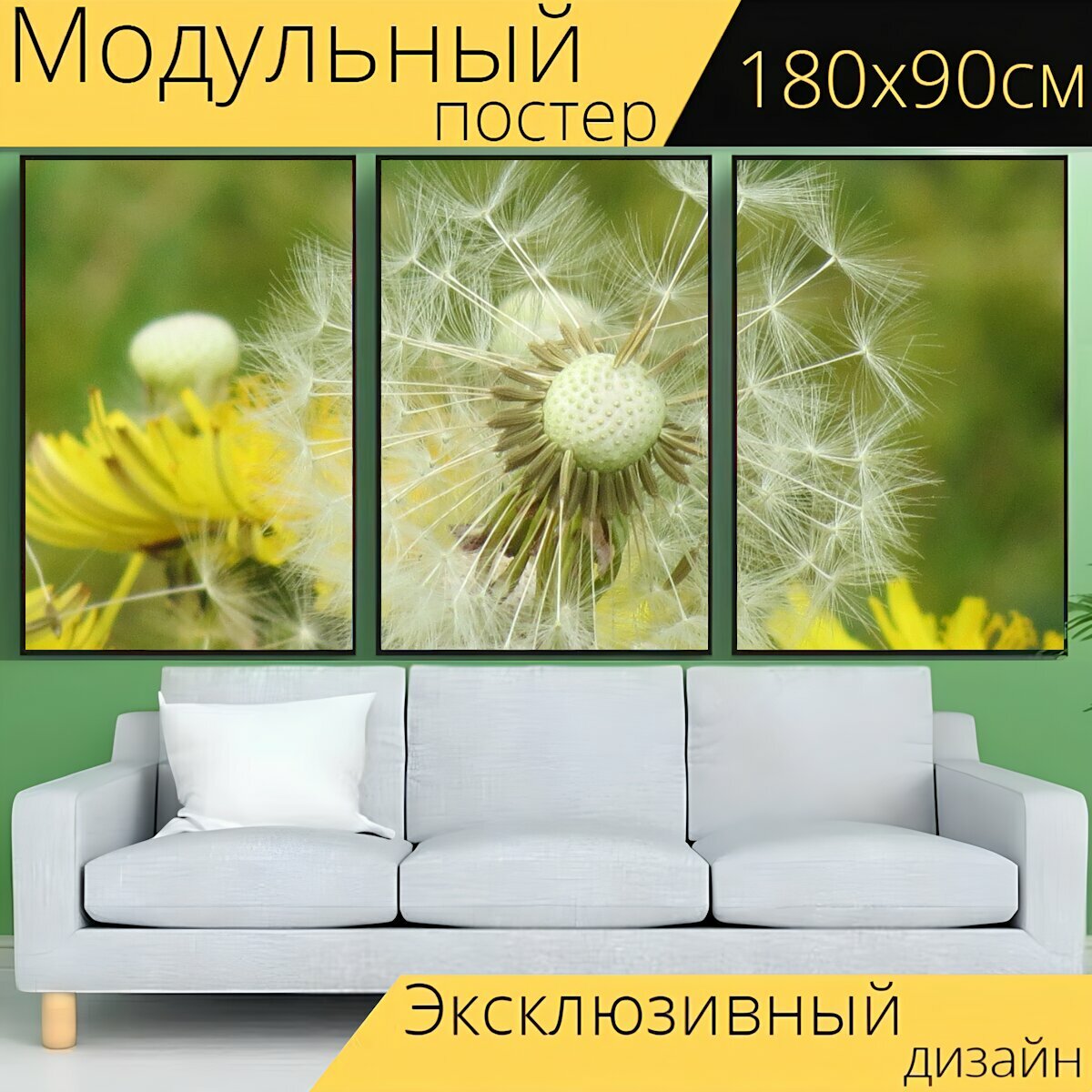Модульный постер "Одуванчик, цветок одуванчика, весна" 180 x 90 см. для интерьера