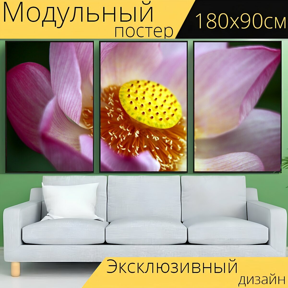 Модульный постер "Цветок лотоса, при смерти, испускать запах" 180 x 90 см. для интерьера