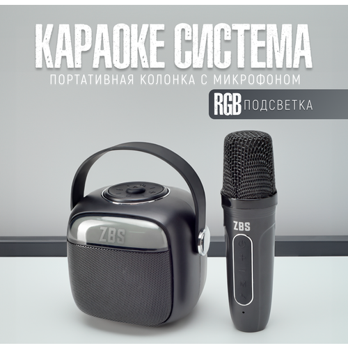 Купить Портативная караоке система - цена: 1741 ₽, характеристики ...