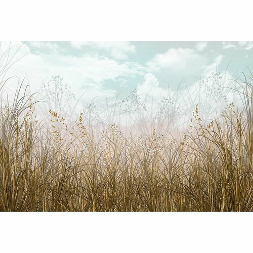 Фотообои флизелиновые Fbrush Сухая трава 400х270 см