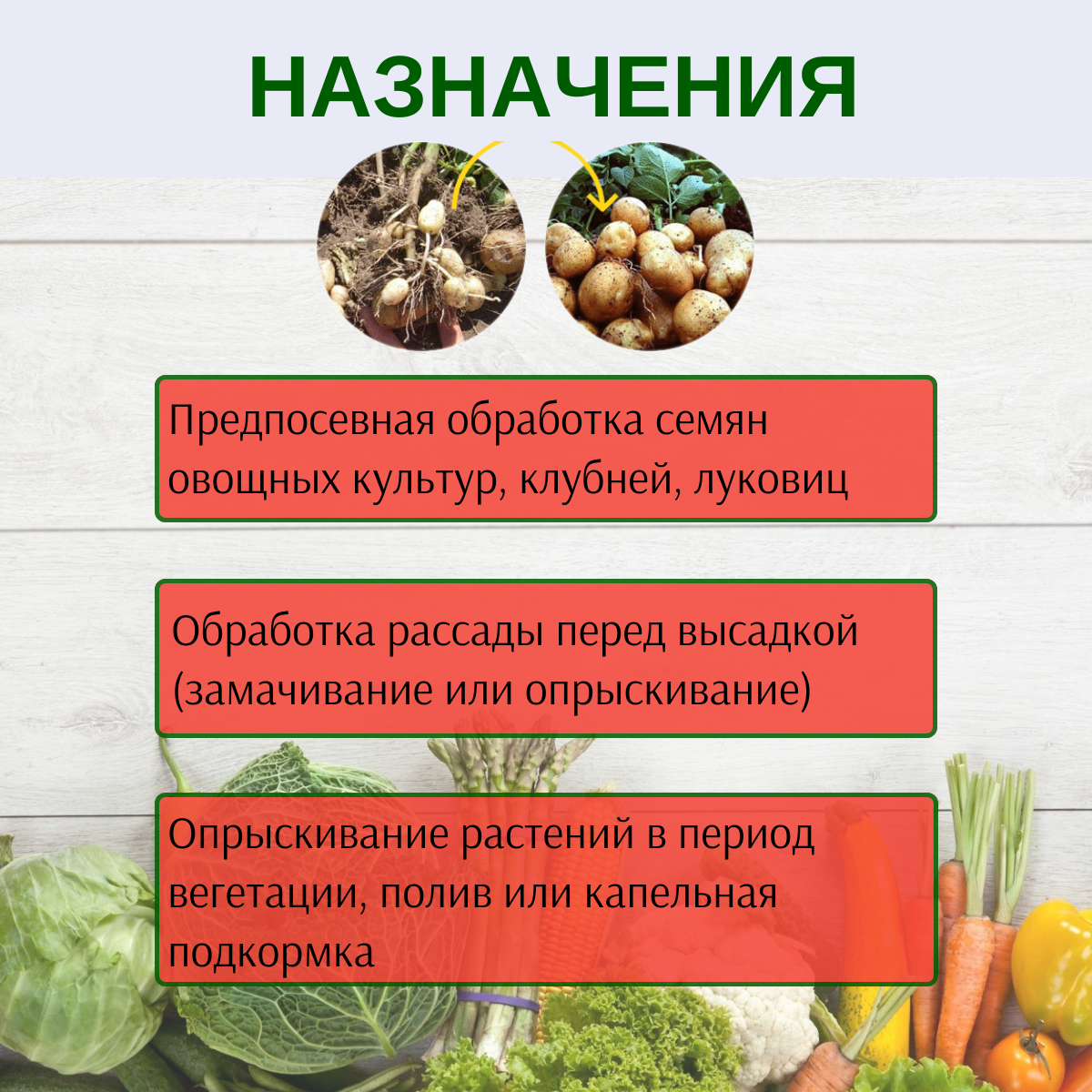 ЭкоДачник Биопрепарат Биокомплекс-БТУ для овощных культур 1л - фотография № 5