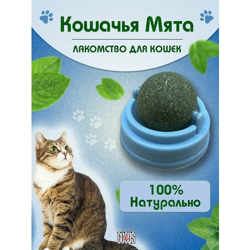 Кошачья мята лакомство, синий