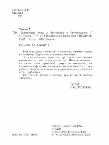 Застрявший. Книга 2. Застрявший в Возрождении - фото №4