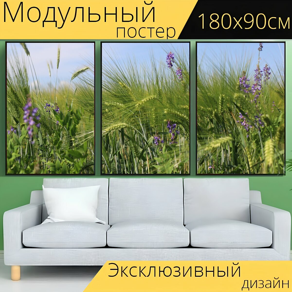 Модульный постер "Луг, цветы, полевые цветы" 180 x 90 см. для интерьера